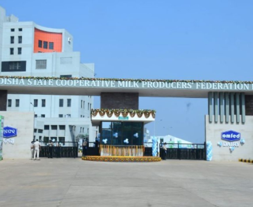 Odisha CM Announces Rs. 1 Lakh Accidental Death Aid for Milk Farmers, Boosts Dairy Incentives