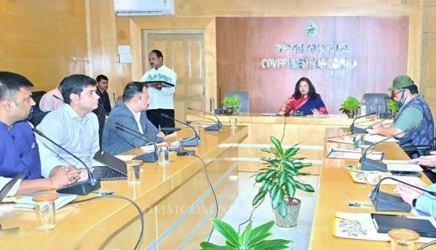 Odisha Launches Evaluation of DMF Projects in Mining-Affected Districts