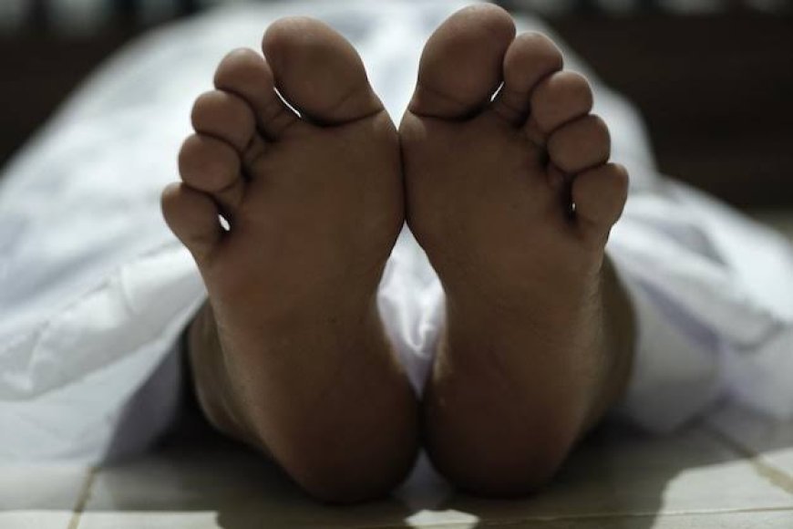 ସାପ କାମୁଡ଼ାରେ ଦୁଇ ଭାଇଭଉଣୀ ମୃତ