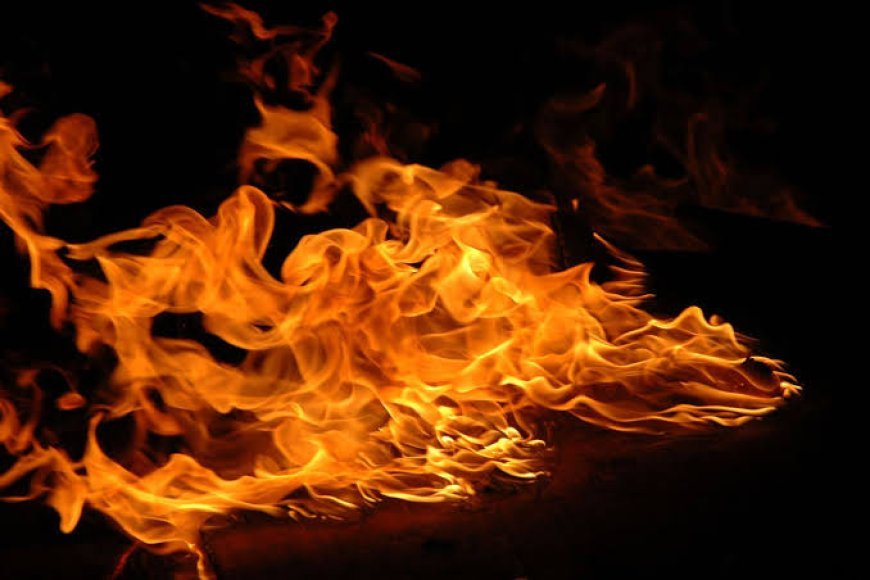 Bhubaneswar lawyer dies by self-immolation on rooftop
