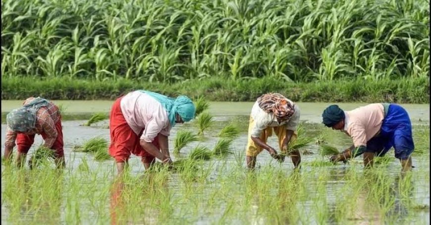 Odisha CM Highlights Farmer Welfare on Nuakhai