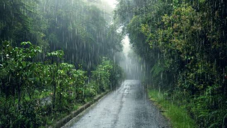 IMD Issues Yellow Weather Warning for Odisha