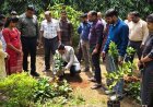Odisha Plants Over 32 Lakh Saplings to Mark PM Modi’s Birthday