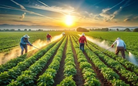 Over 5 Million Farmers Turn Shareholders in FPOs Across India