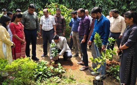 Odisha Plants Over 32 Lakh Saplings to Mark PM Modi’s Birthday