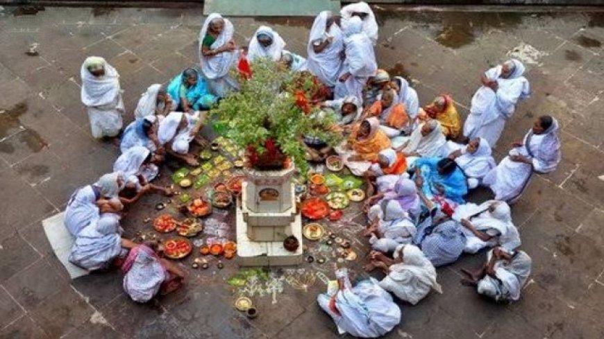 Registration for Habisyali Camp Begins in Puri