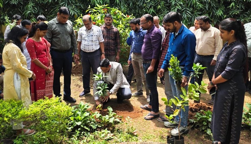 Odisha Plants Over 32 Lakh Saplings to Mark PM Modi’s Birthday